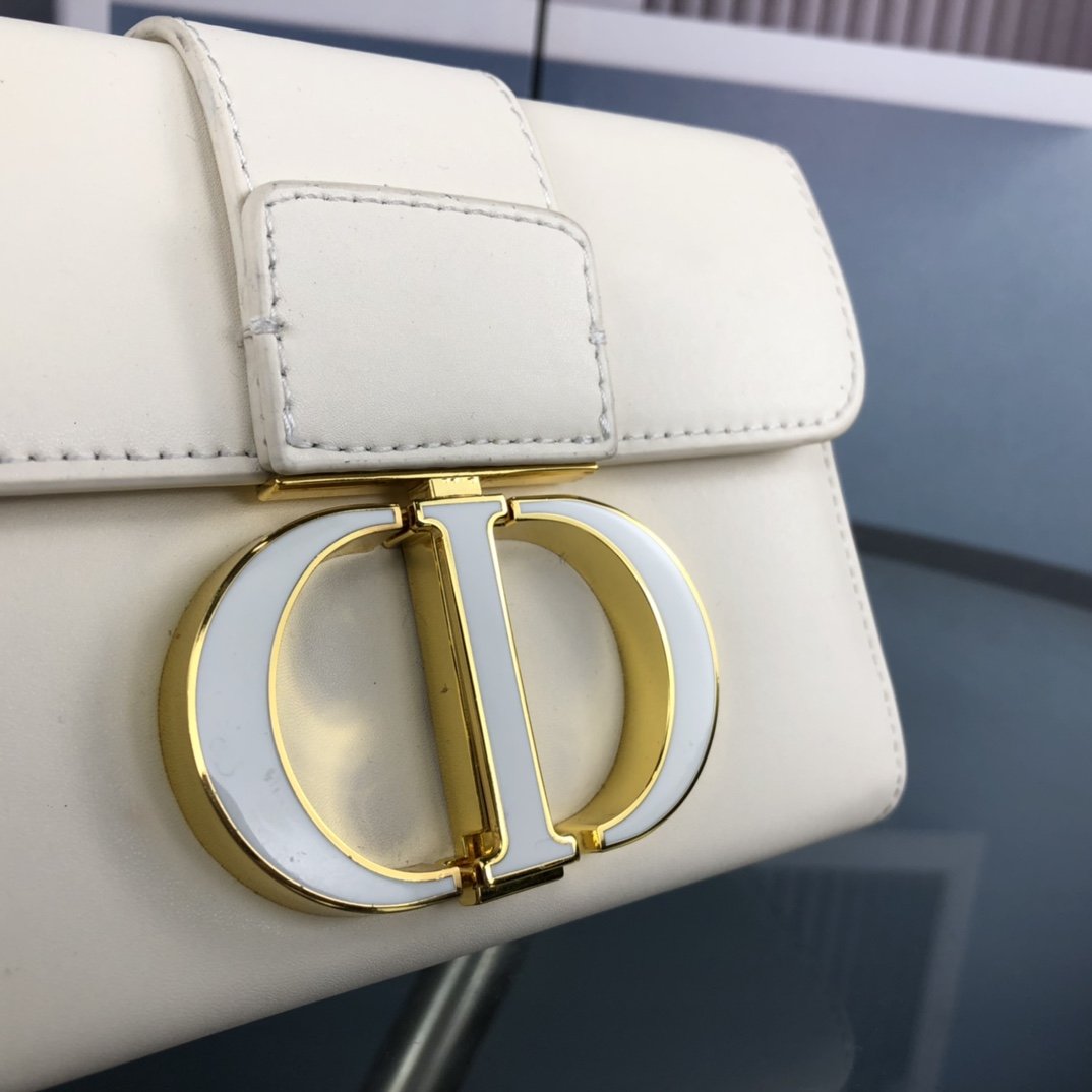 LW - Luxury Handbags DIR 243