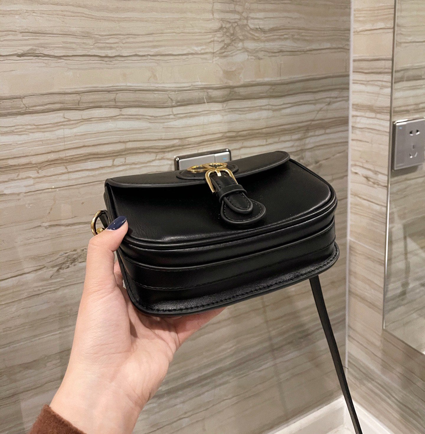 LW - Luxury Handbags DIR 213