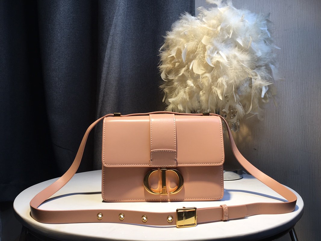 LW - Luxury Handbags DIR 238