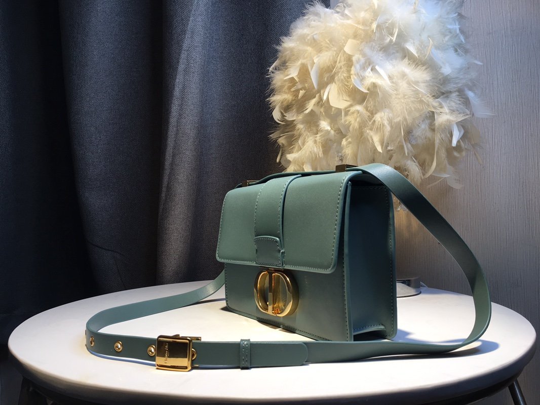 LW - Luxury Handbags DIR 239